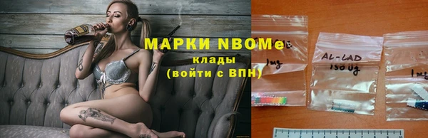 прущие крисы Балахна