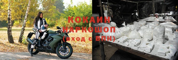 прущие крисы Балахна