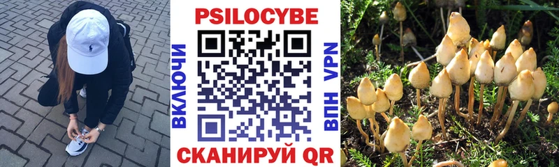 blacksprut онион  Мончегорск  Галлюциногенные грибы MAGIC MUSHROOMS  закладка 