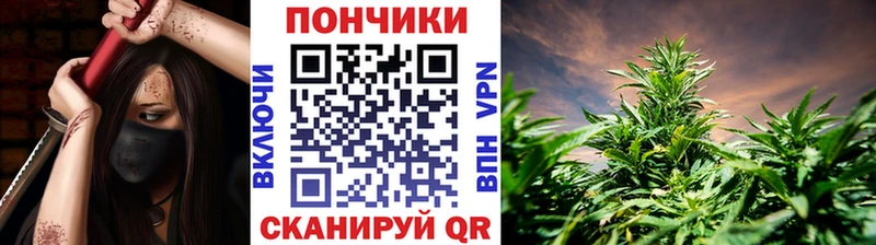 Каннабис сатива Мончегорск