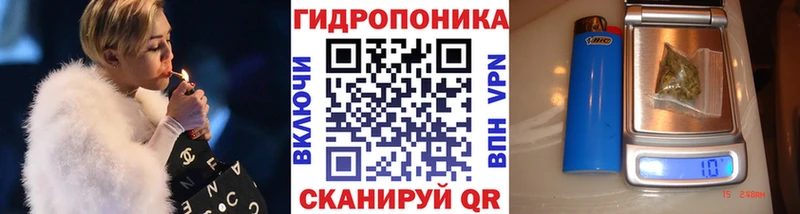 Бошки марихуана ГИДРОПОН  Мончегорск 